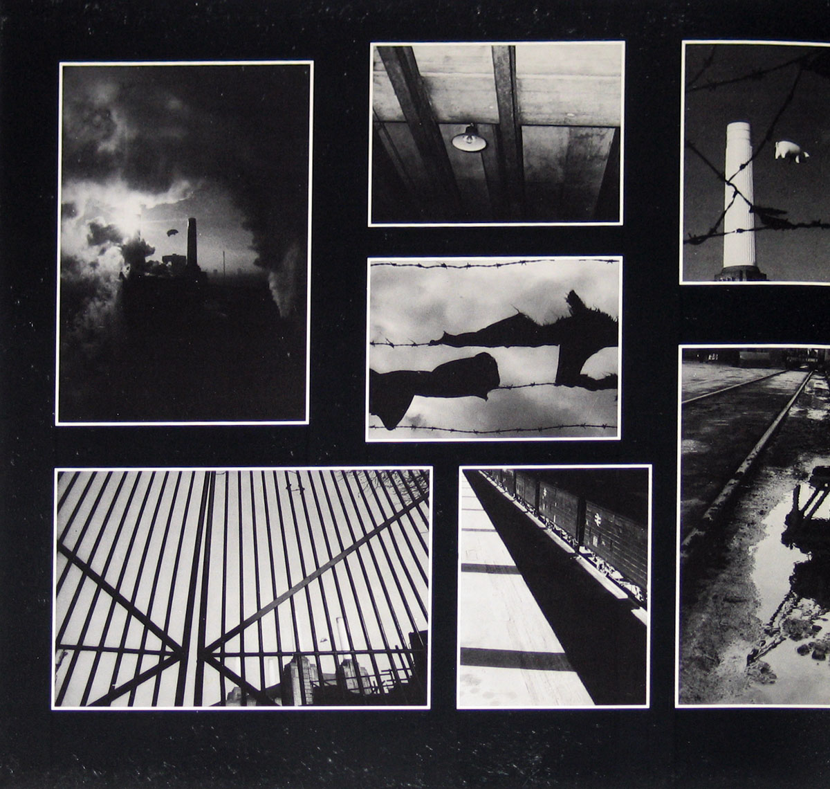 High Resolution Photo #2 PINK FLOYD animals uk 